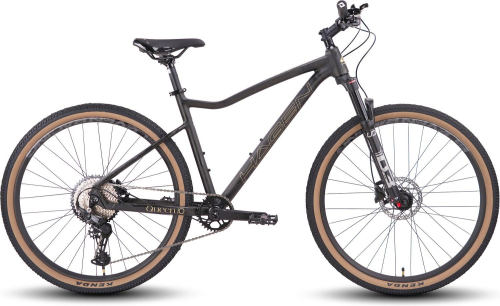 Велосипед Hagen Queen 10 (2025)