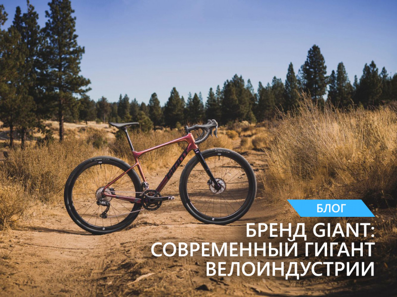 Бренд Giant: современный гигант велоиндустрии Бренд Giant: современный гигант велоиндустрии