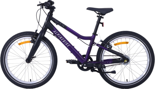 Велосипед Alpinebike Pegas 3-20 (2025)