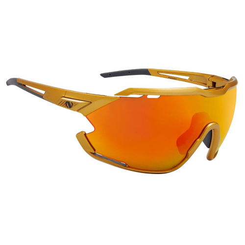 Мультиспортивные очки NORTHUG GOLD PERFORMANCE GOLD Standard