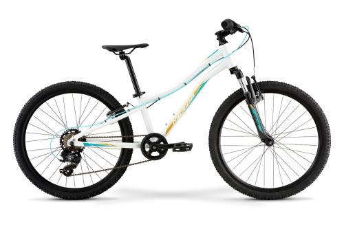 Велосипед Merida MATTS J24 ECO 24" (2021)