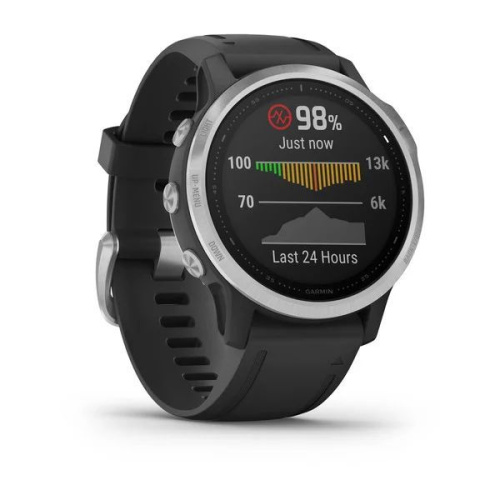 Часы GARMIN Fenix 6S (Silver/Black Band)