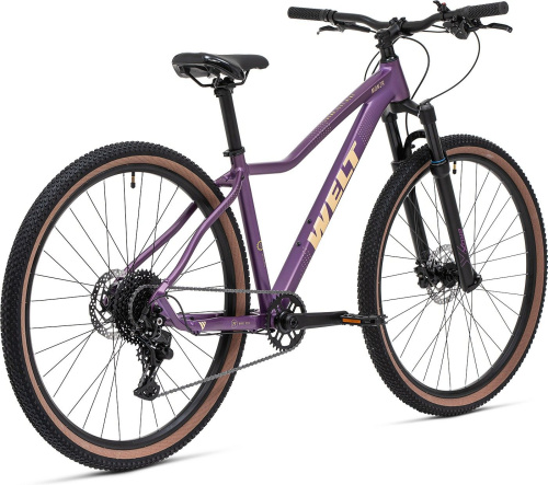 Велосипед Welt Monza 3.0 29 HD (2025), рама L (175-185 см), фиолетовый